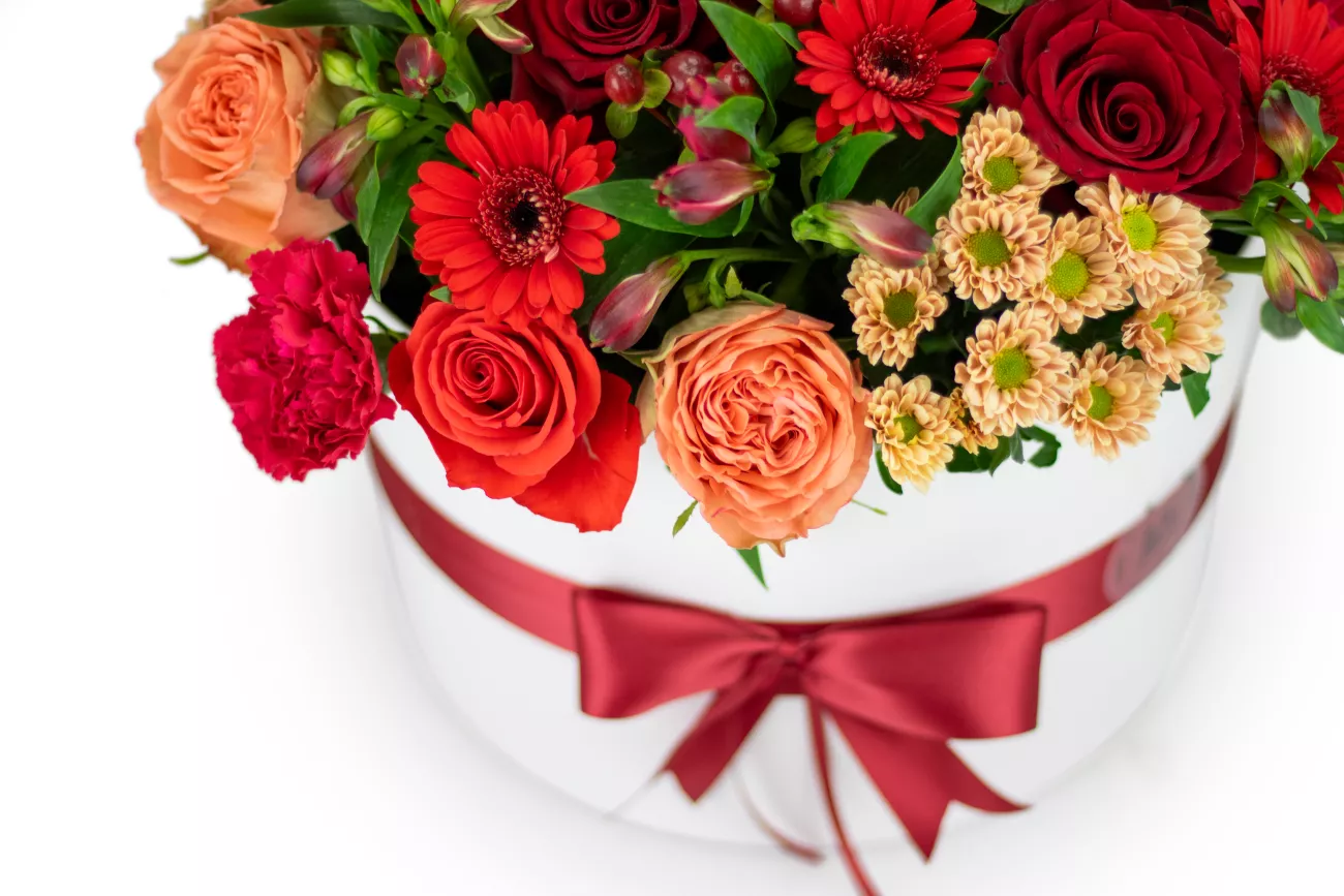 VIRGINIE_DETAIL_IMG_1892_eRGB.png
